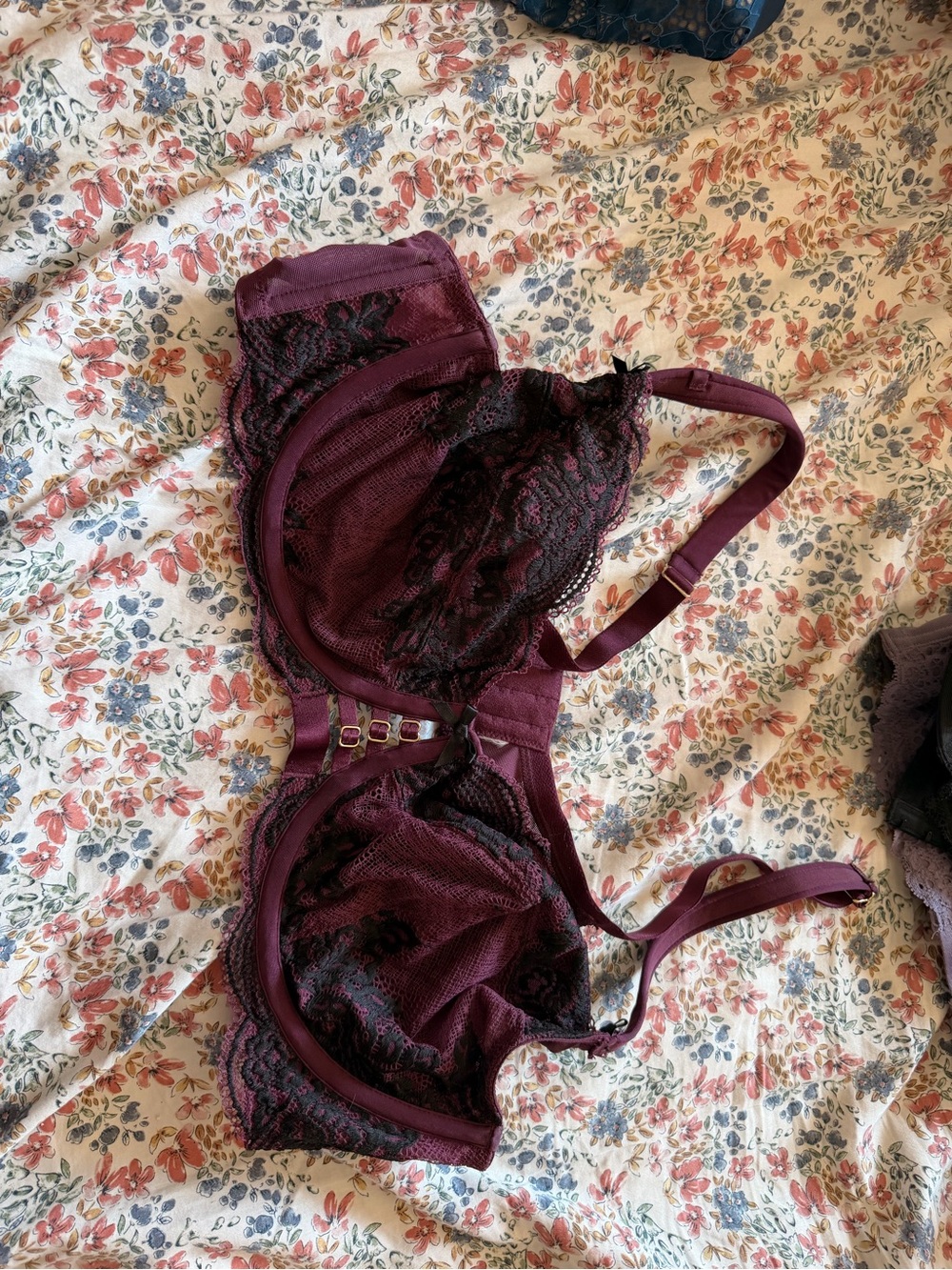 Cacique Plum Lace Underwire Bra with Black Lace